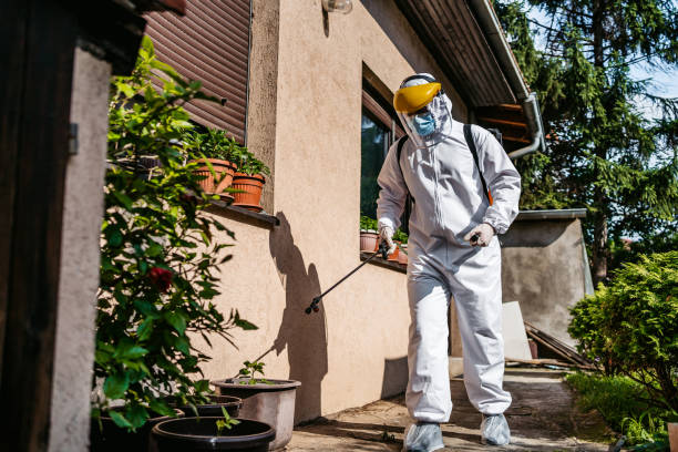 Best Insect Control  in Newcastle, OK