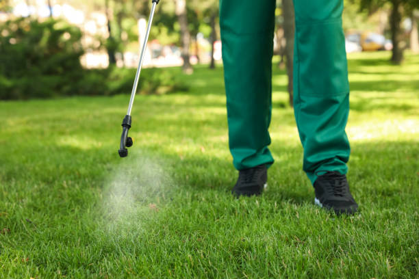 Best Flea Control Services  in Newcastle, OK