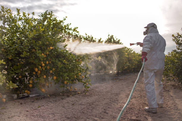 Best Wasp Removal Services  in Newcastle, OK