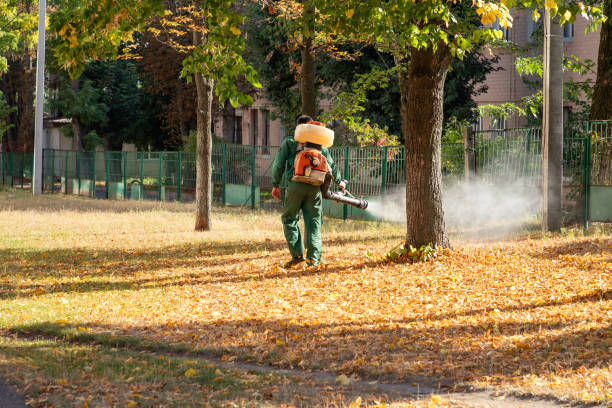 Best Best Pest Control Companies  in Newcastle, OK