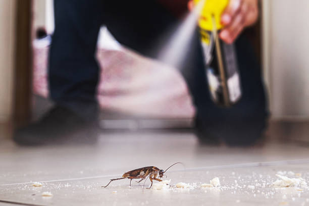  Newcastle, OK Pest Control Pros
