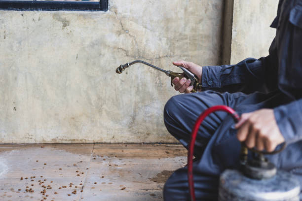Trusted Newcastle, OK Pest Control Experts